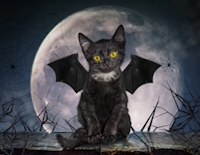 Halloween Bat Cat