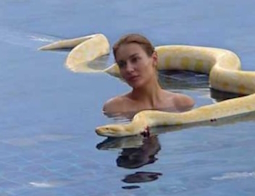 Chick in water with a big snake