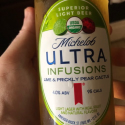 Michelob Ultra Lime Cactus