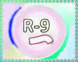 R9